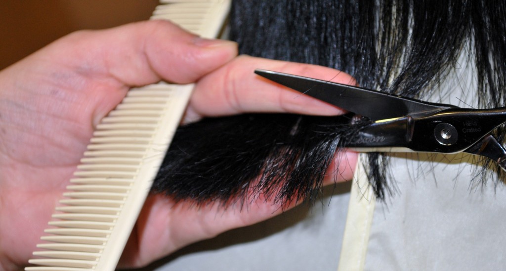 What’s the Difference Between a Trim and a Haircut? Salon/Spa